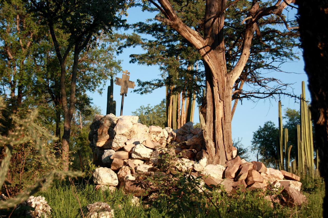Ghaub Nature Reserve & Farm - One Namibia Grootfontein Buitenkant foto
